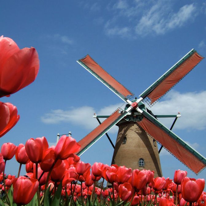 windmill