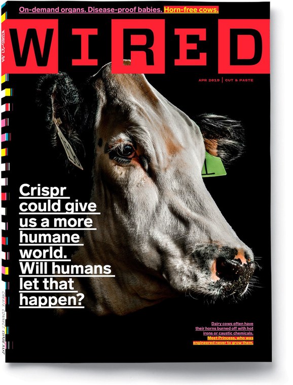 Wired cover April 2019