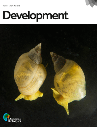 snail crispr cover