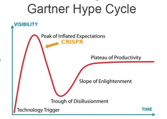 Hype Cycle eng