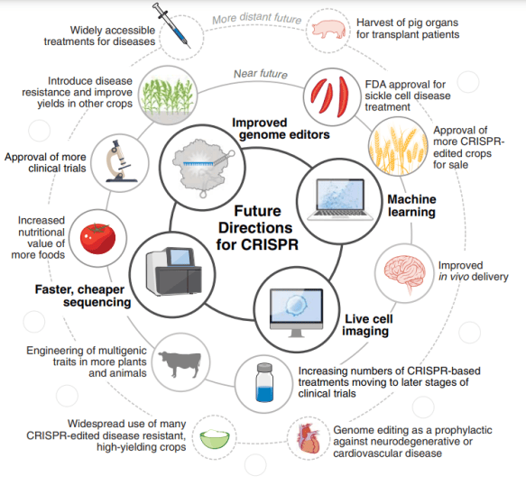 A decade of CRISPR is only the beginning | CRISPeR FRENZY